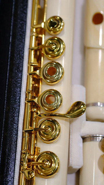 Flute World '17:Sakurai:山野楽器: フルートと音楽の日々 Origin Flute World '17:Sakurai:山野楽器: フルートと音楽の日々 Origin